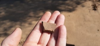 Brownware pottery fragment